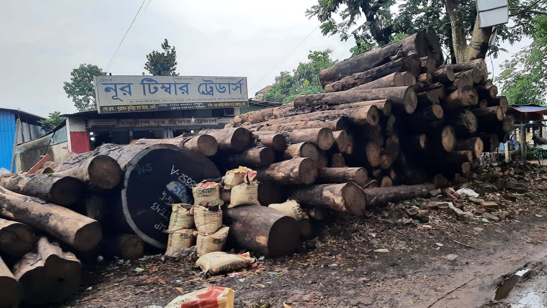 ফেনীতে লাইসেন্স ছাড়াই চলছে ৬৬শতাংশ করাতকল-রাজস্ব হারাচ্ছে সরকার