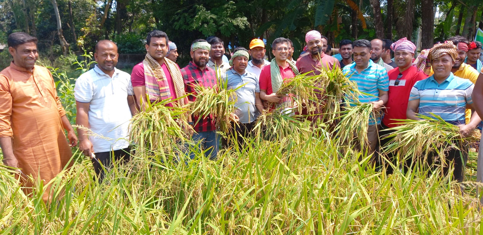 ফাজিলপুরে কৃষকের দেড় একর জমির ধান কেটে দিলো যুবলীগ