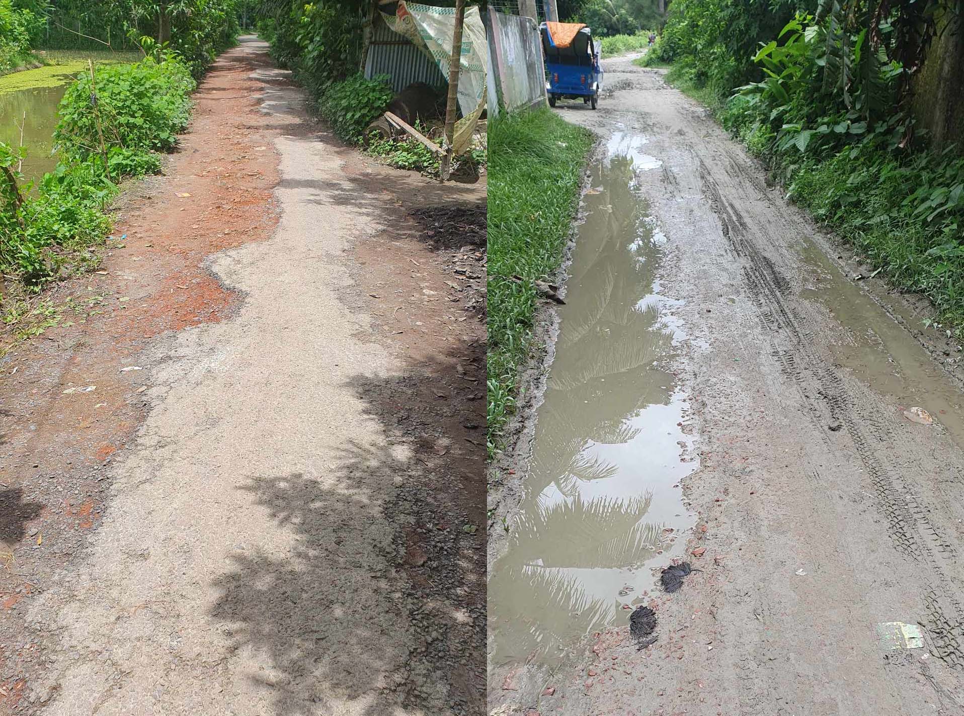 দাগনভূঞা-সেনবাগ সড়ক দূর্ভোগ ১৩ বছরেও কাটেনি