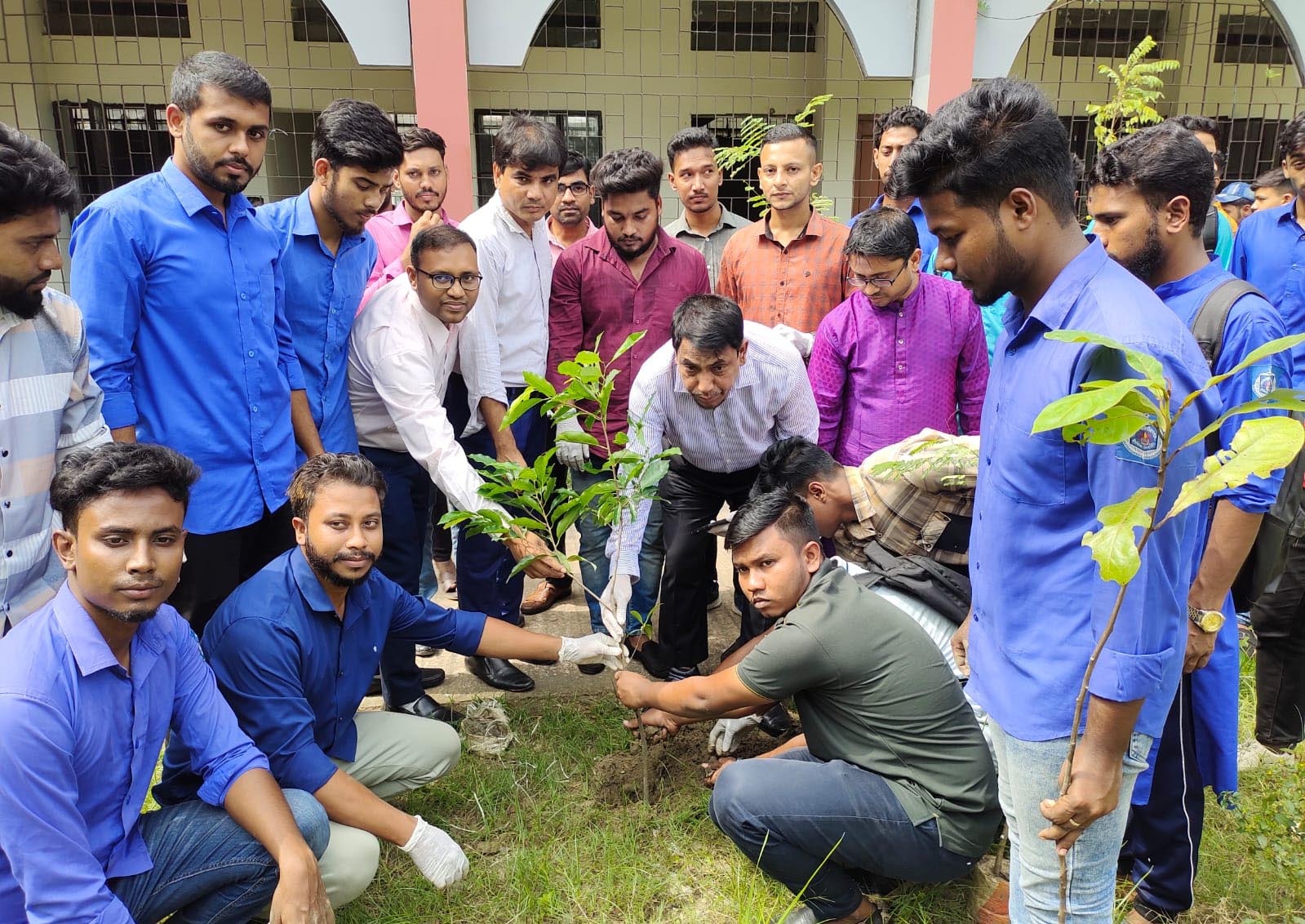 ফেনী কলেজ ক্যাম্পাসে ছাত্রদলের বৃক্ষরোপণ