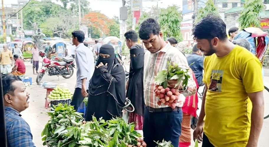 ফেনীতে জমে উঠেছে লিচু কেনাবেচা