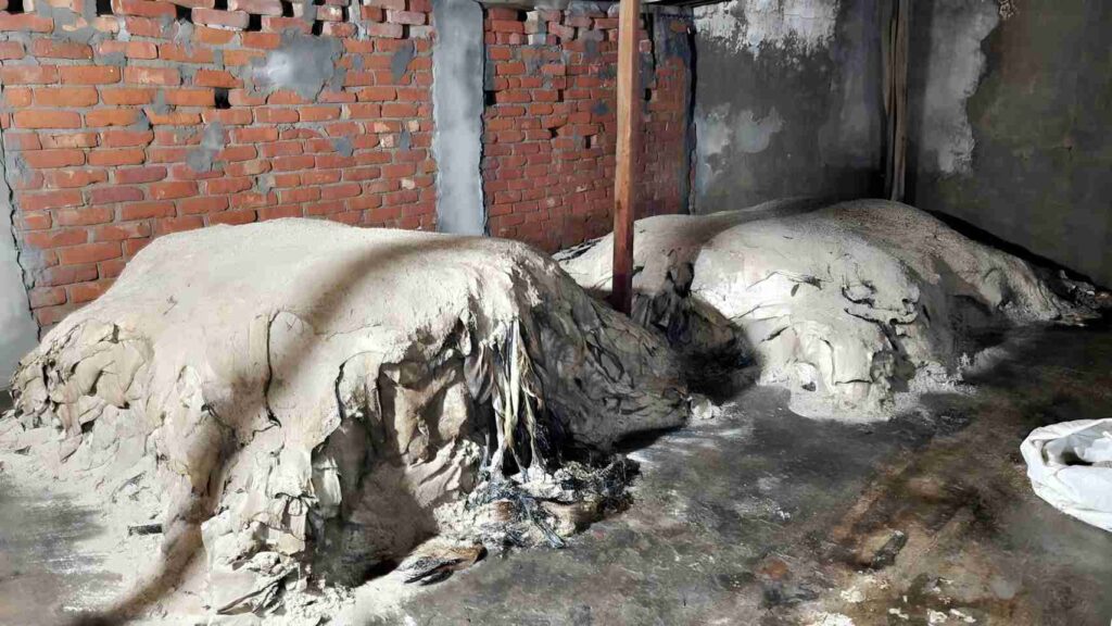 ফেনীতে চামড়া নিয়ে দুশ্চিন্তায় ব্যবসায়ীরা