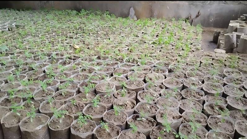 হর্টিকালচার সেন্টার