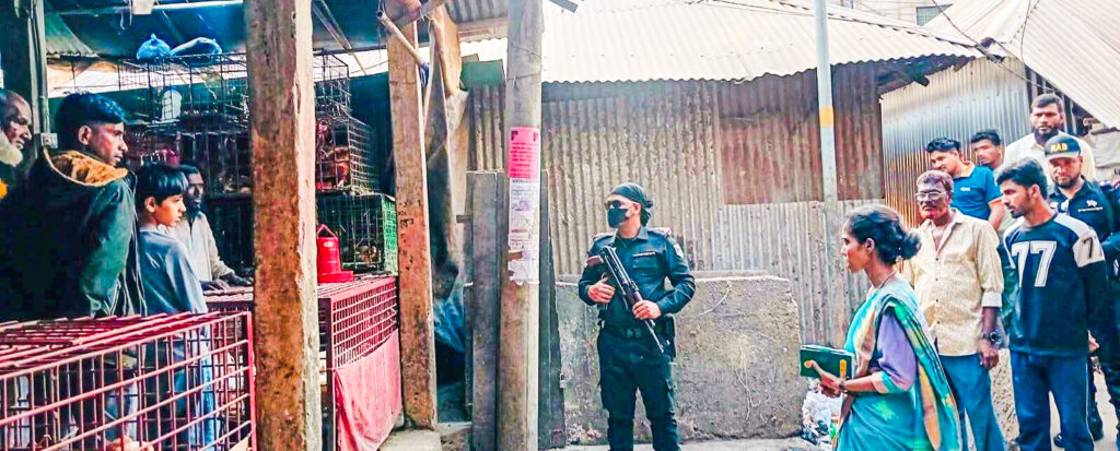 কোম্পানীগঞ্জে মরা মুরগি বিক্রি