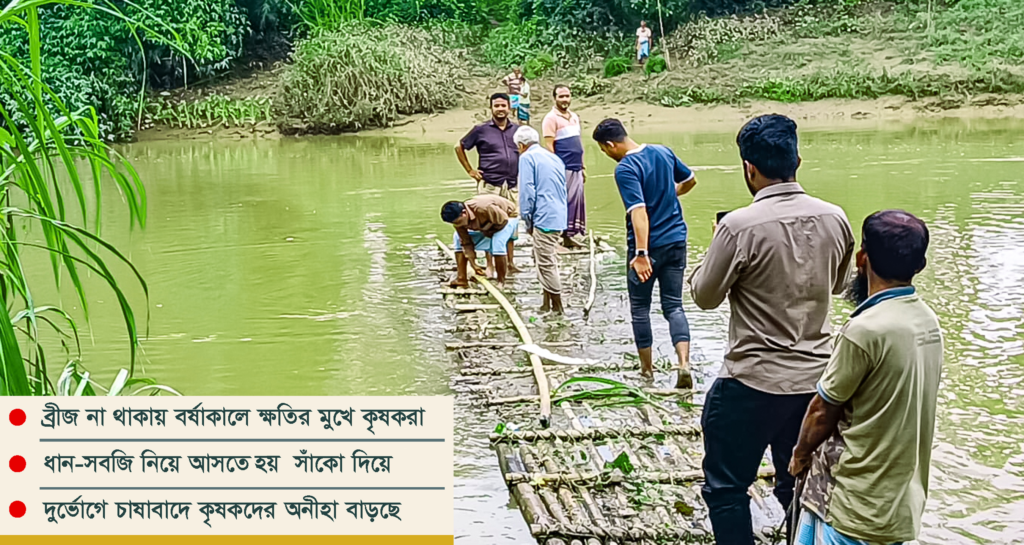ফুলগাজীর জগতপুরে ঝুঁকিতে সাঁকো পারাপার