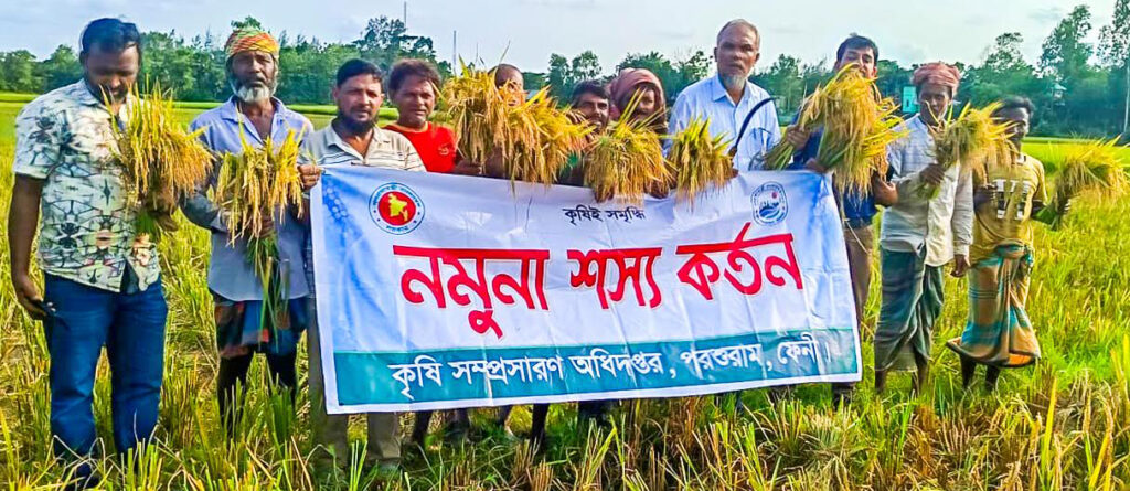 ফেনীতে বোরোর বাম্পার ফলনেও খরচ পোষাতে হিমশিম খাচ্ছেন কৃষকরা