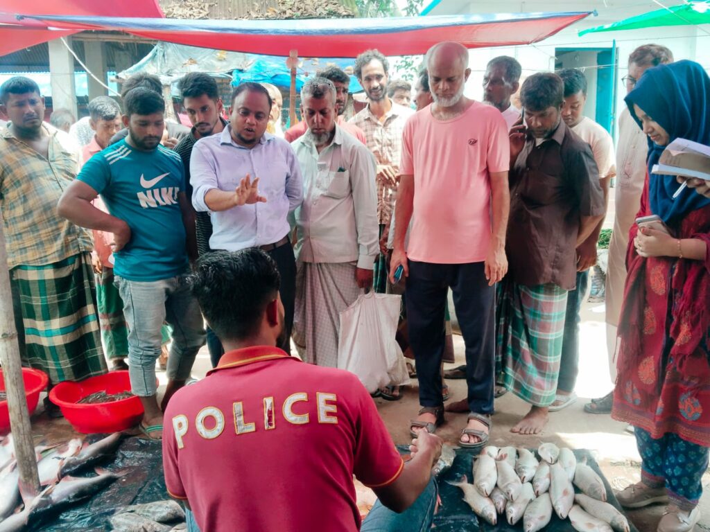 ফুলগাজীতে ভ্রাম্যমান আদালতের অভিযান পিরানহা, আফ্রিকান মাগুর মাছ জব্দ ও জরিমানা