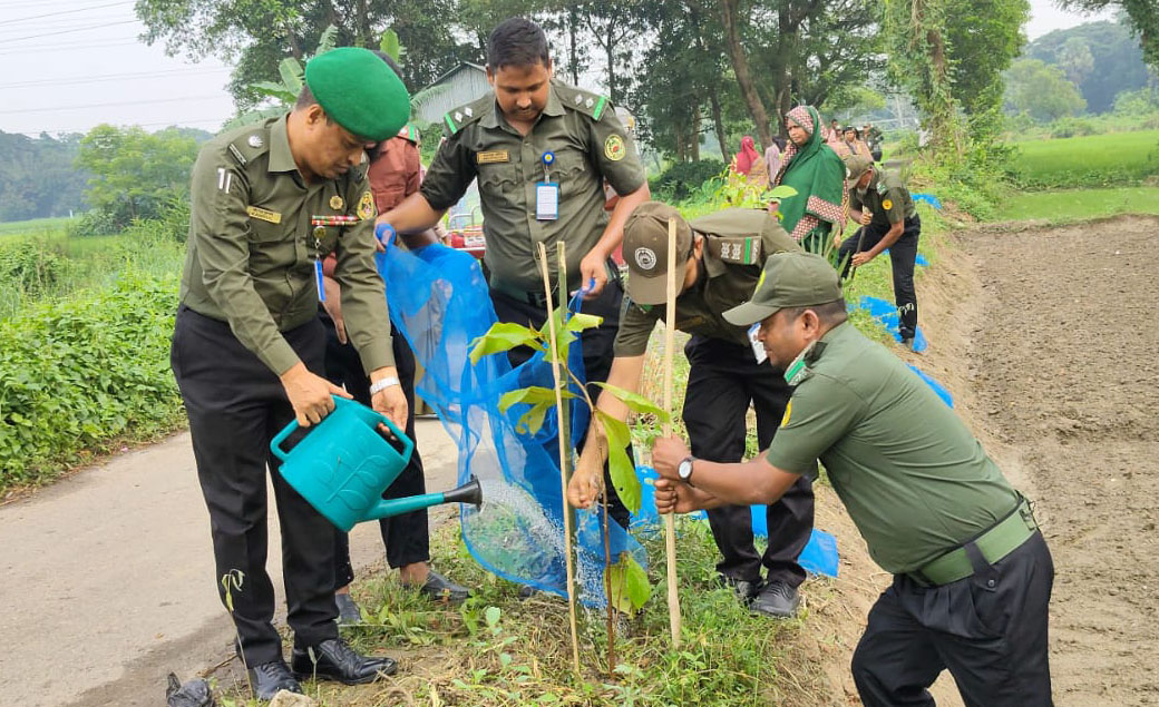 ফেনীতে আনসার-ভিডিপির উদ্যোগে, ৪শতাধিক গাছের চারা রোপণ